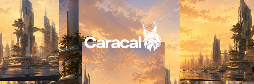 caracalrun's profile banner image
