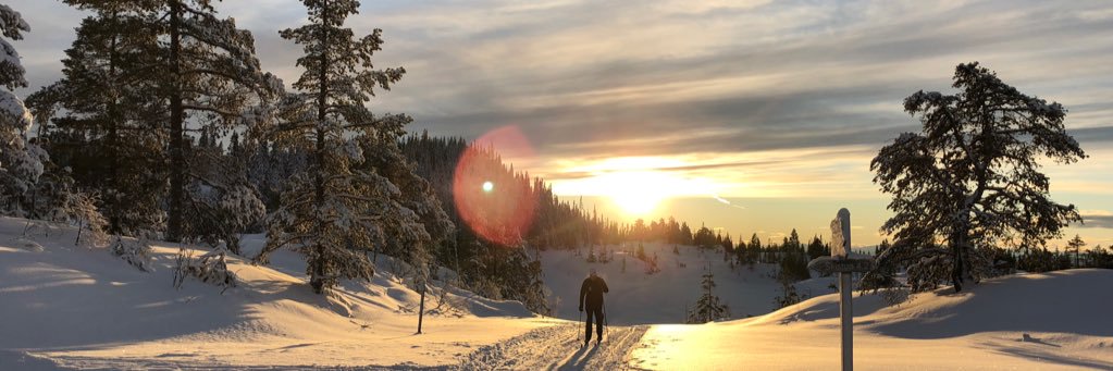 hvrd's profile banner image