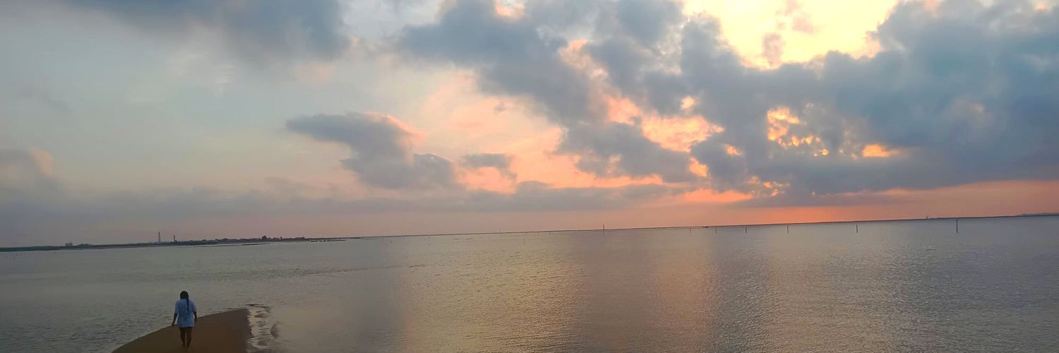 Rociopsicodelic's profile banner image