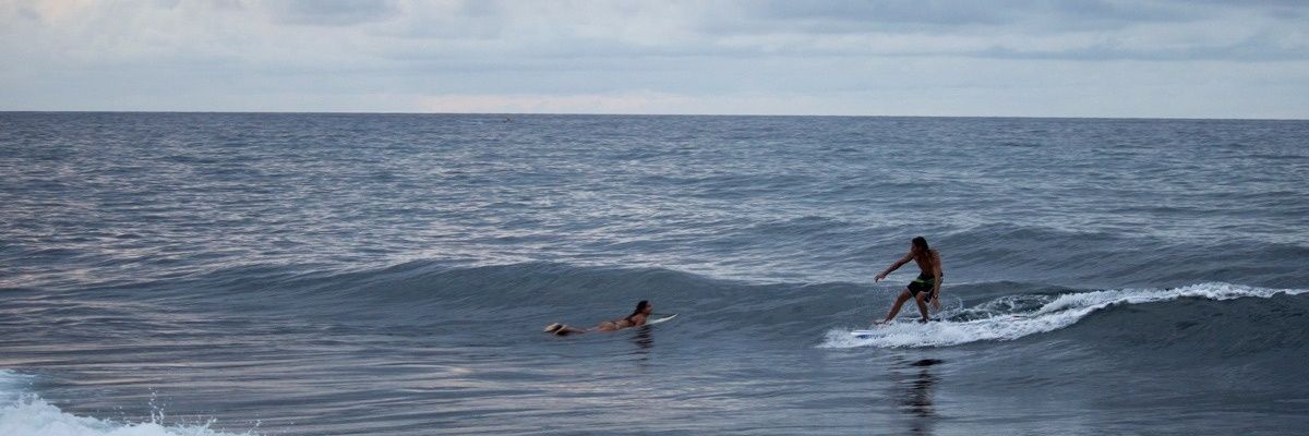 melisandreina's profile banner image