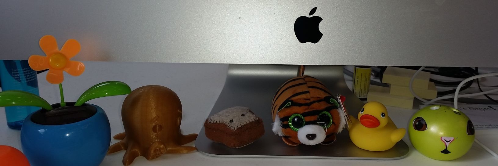 Dr Roisin Loughran banner