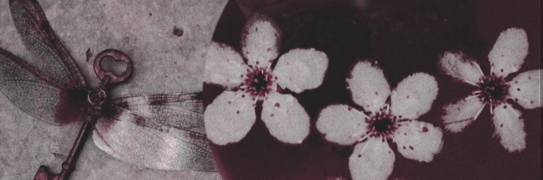 eldcstdaughters's profile banner image