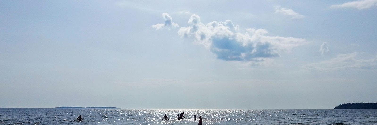 φekkλ rλninen banner