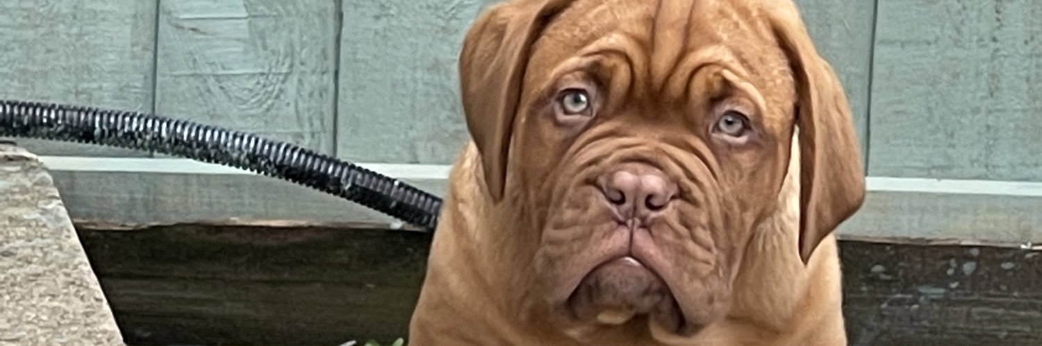 Mandybean74's profile banner image