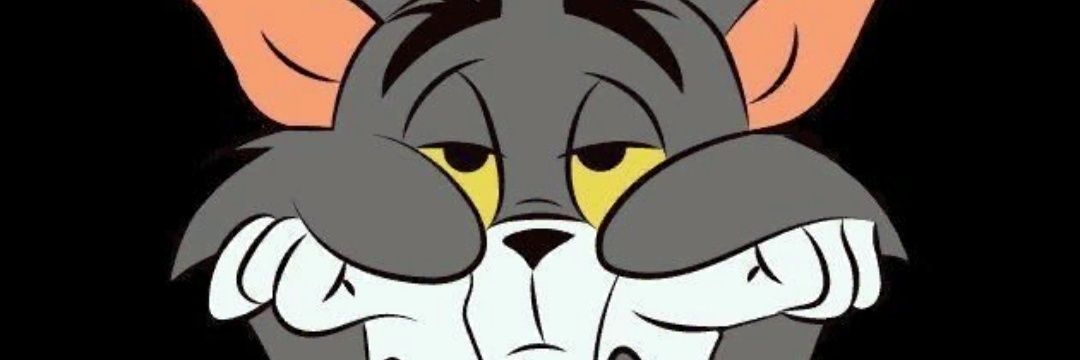 ZEINAPPsq's profile banner image