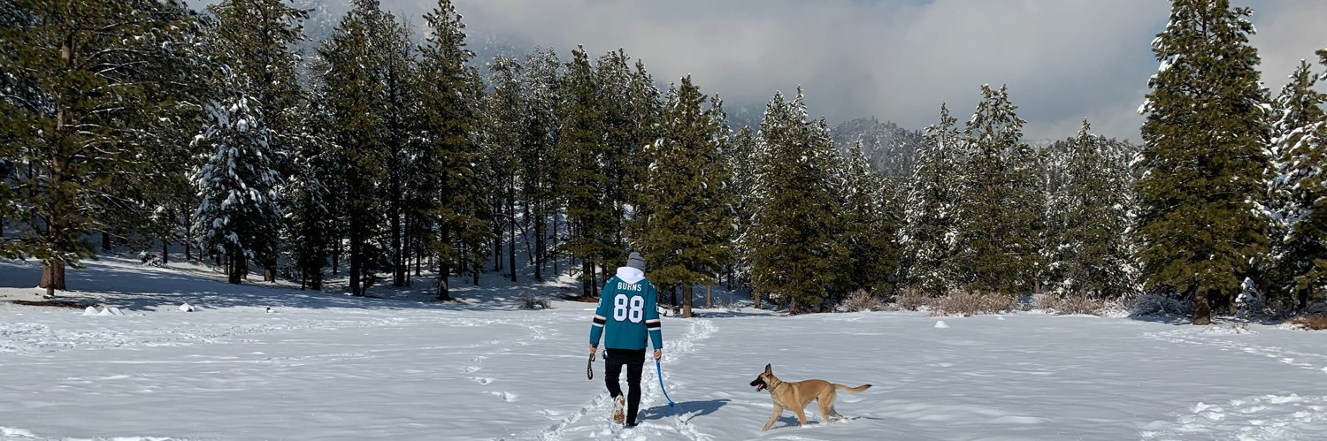 SadlyxChris's profile banner image