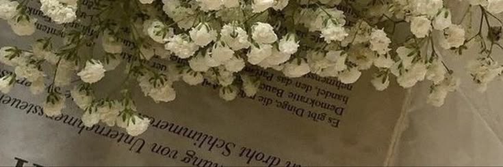 IvyVelourr's profile banner image