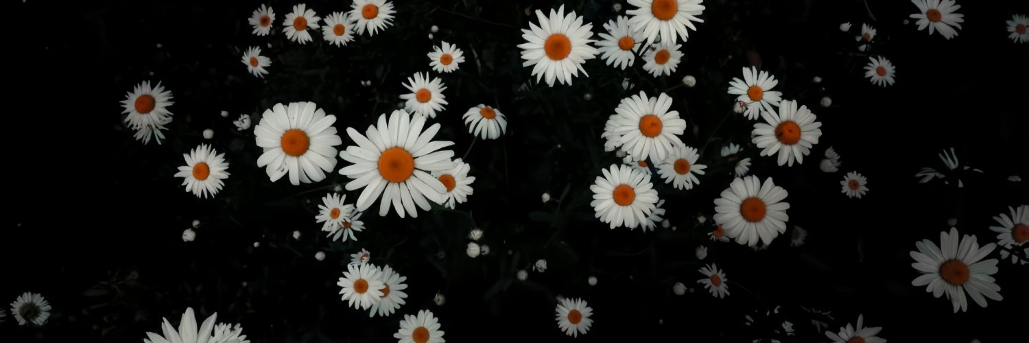 Lingj0y's profile banner image