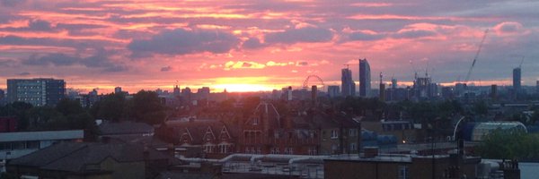 mtiedemann Profile Banner