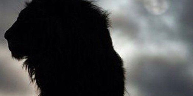 henrygl's profile banner image