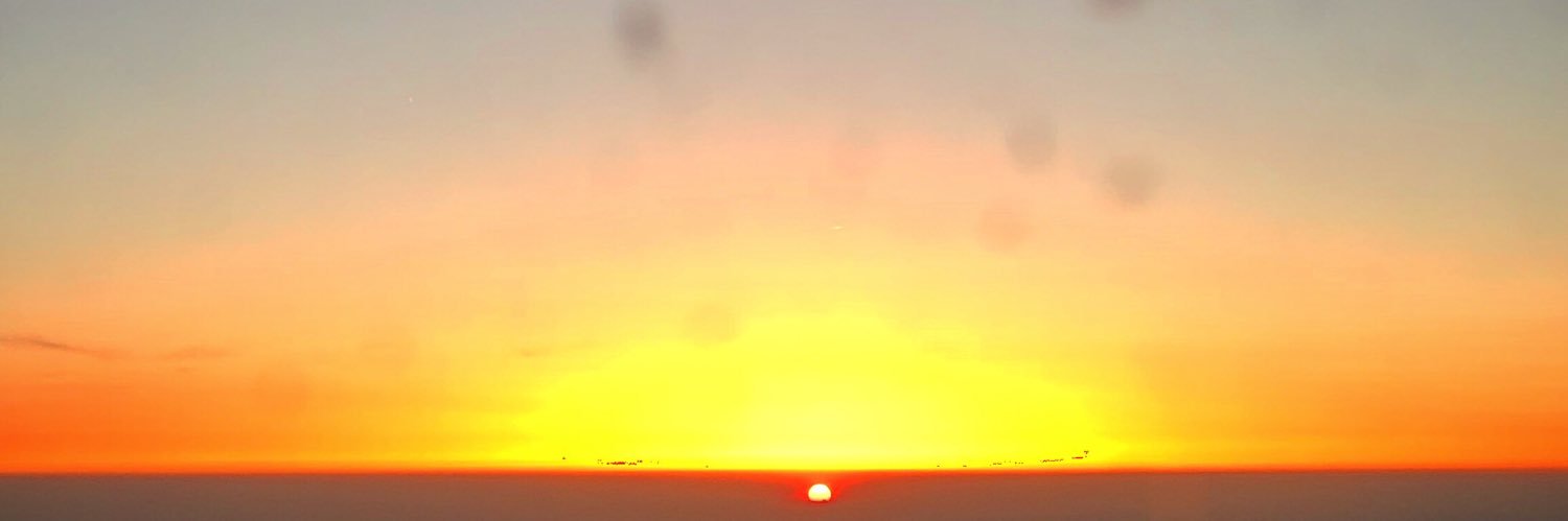 0Lynne0's profile banner image