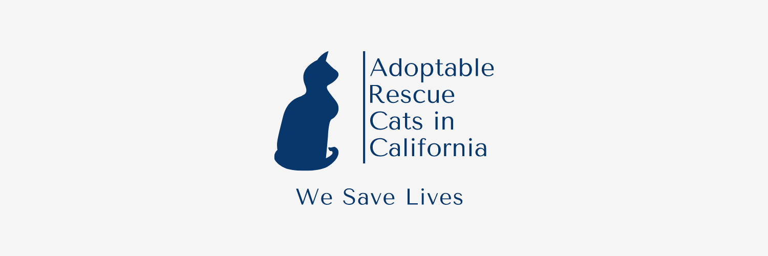 Adoptable Rescue Cats in California's banner