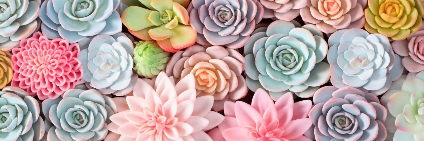 🌷𝙲𝚊𝚛𝚘𝚕𝚒𝚗𝚊 𝙿𝚊𝚛𝚛𝚊𝚍𝚘🎏 banner