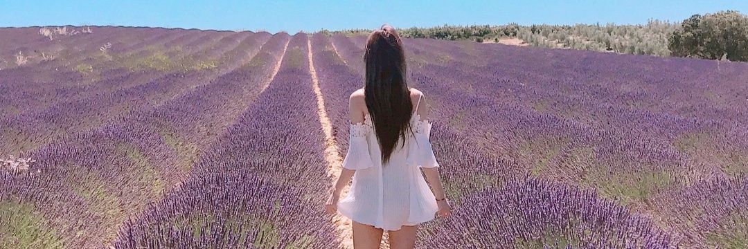 alice9705's profile banner image
