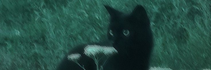 SuhoMySun's profile banner image