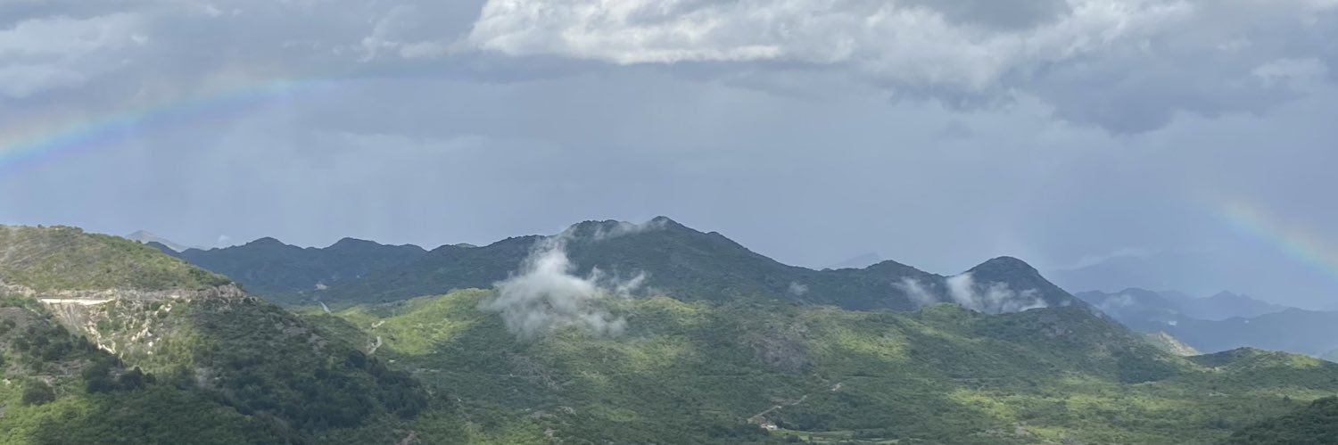 demozgur's profile banner image