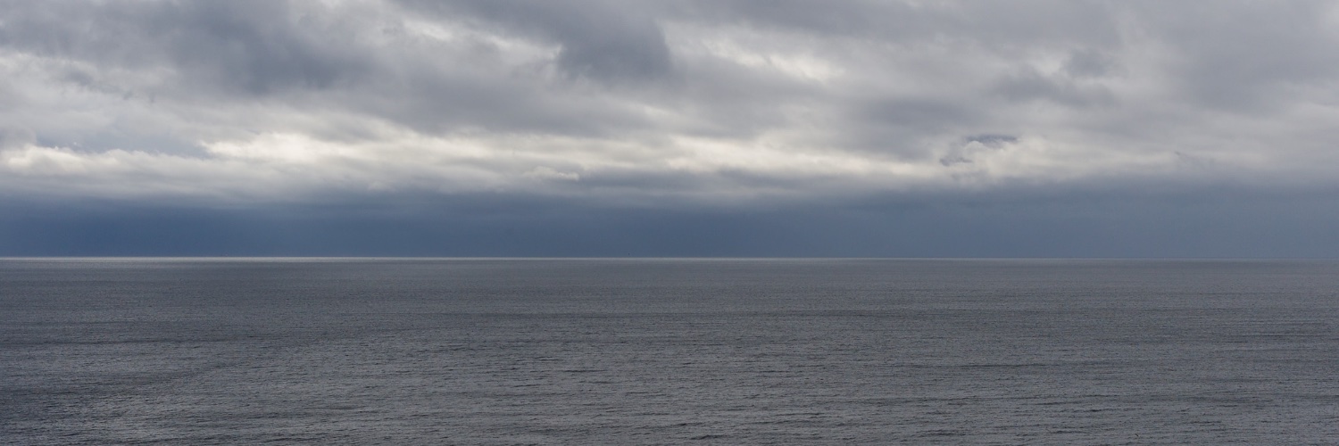 pascallienard's profile banner image