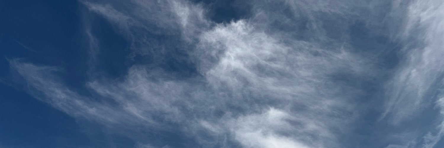 zan2778's profile banner image
