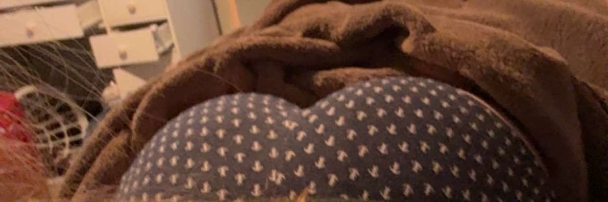 demarcocums's profile banner image