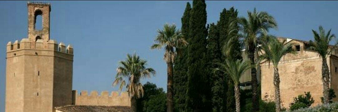 Virginia Rodríguez banner