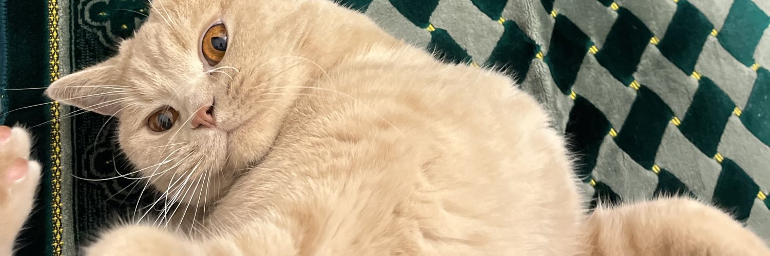 TitoEtern's profile banner image