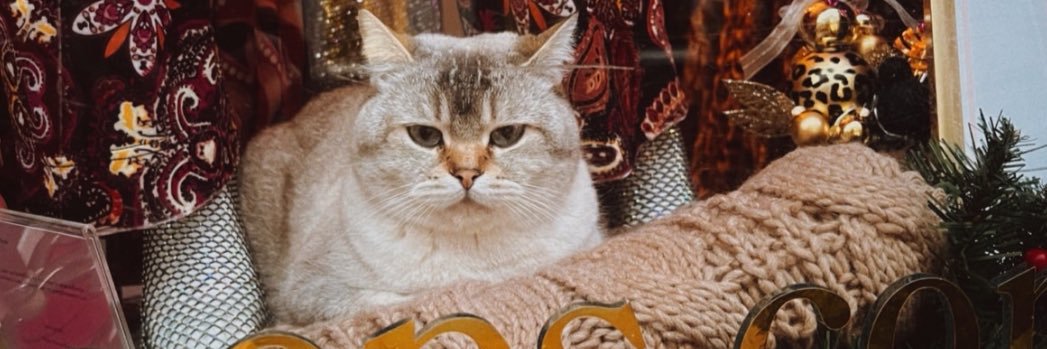 catchcatsapp's profile banner image