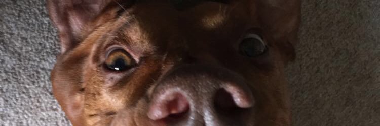 EmmaADI1's profile banner image