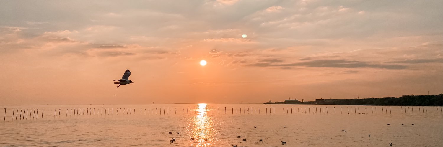 kaewkaew's profile banner image