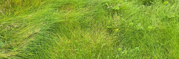 ChrisKondrich Profile Banner