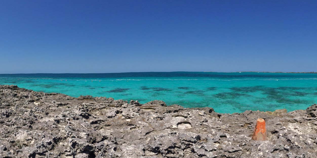 Bridget Thorne banner