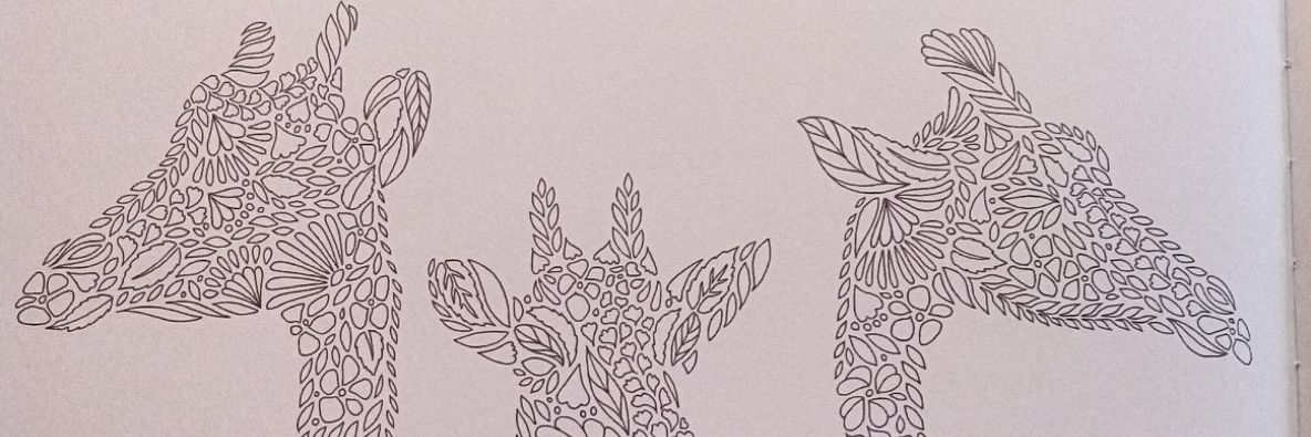 LeraPetrova's profile banner image