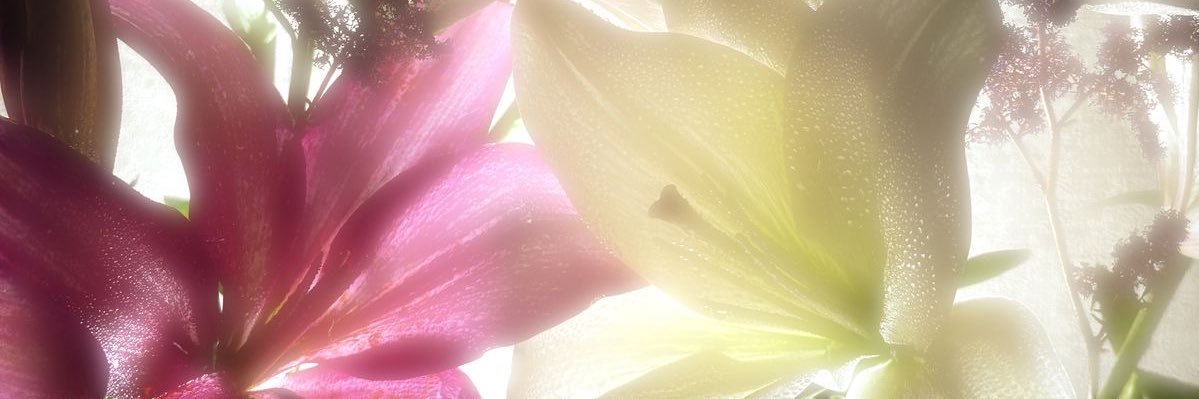 alboramarillo's profile banner image