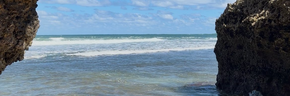 dys²⁷ banner