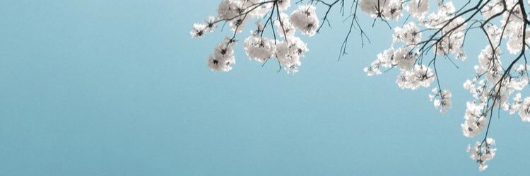 _zlemkaya's profile banner image