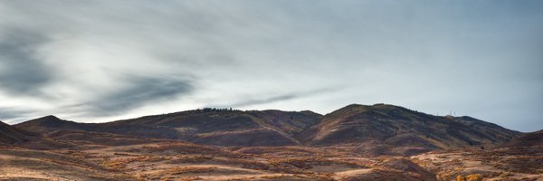 curtisjudd Profile Banner