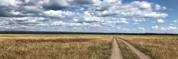 pdsnyder Profile Banner