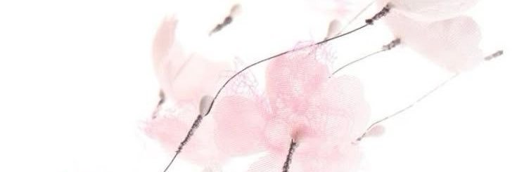 Karrucheww's profile banner image