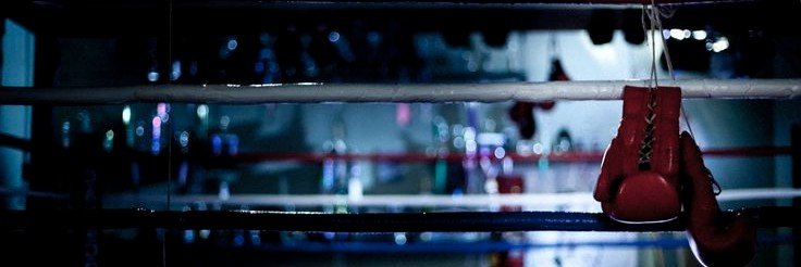 ɴᴀᴛᴇ banner