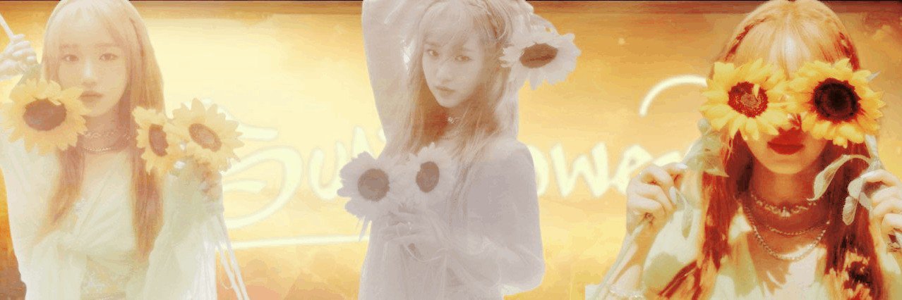 malibutwt's profile banner image