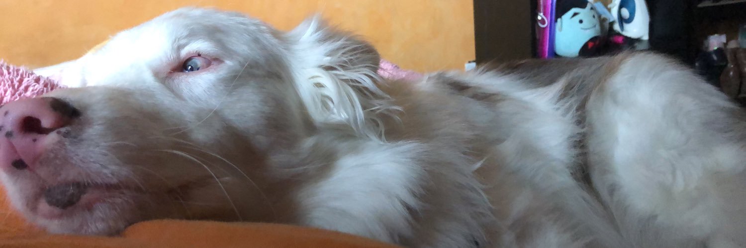 descabida_'s profile banner image