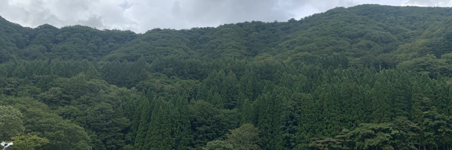 ayanobaby's profile banner image