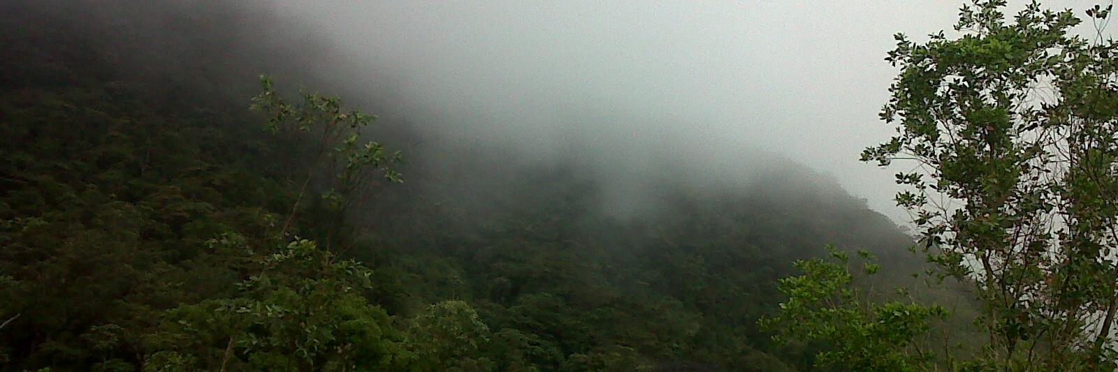 Coomerene Muilerman-Rodrigo banner