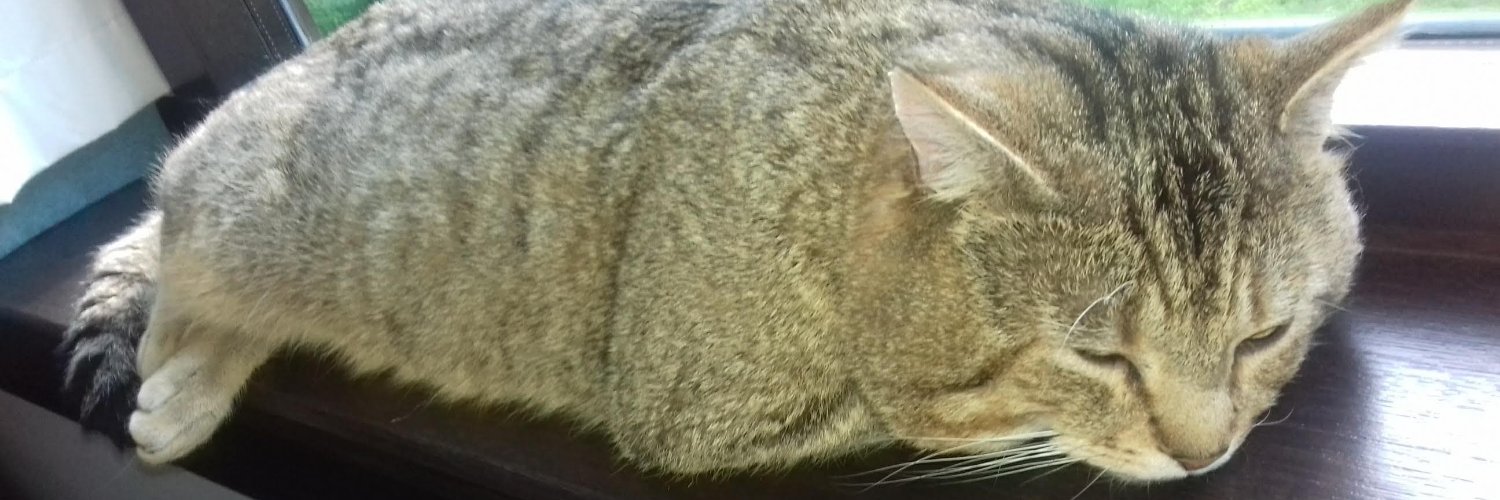 Elaine Fresson banner