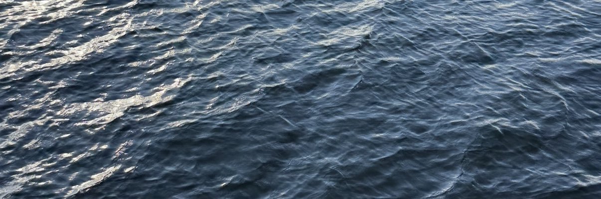 dalxi25's profile banner image