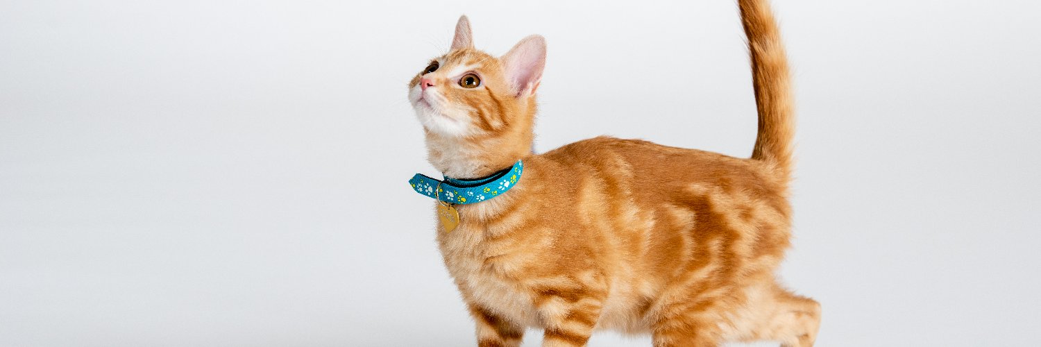 Cleveland APL banner