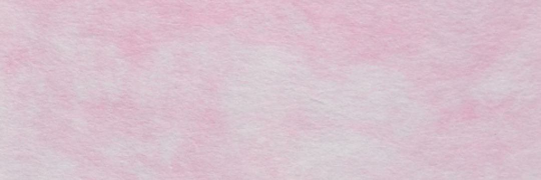 PiniPaviatto's profile banner image