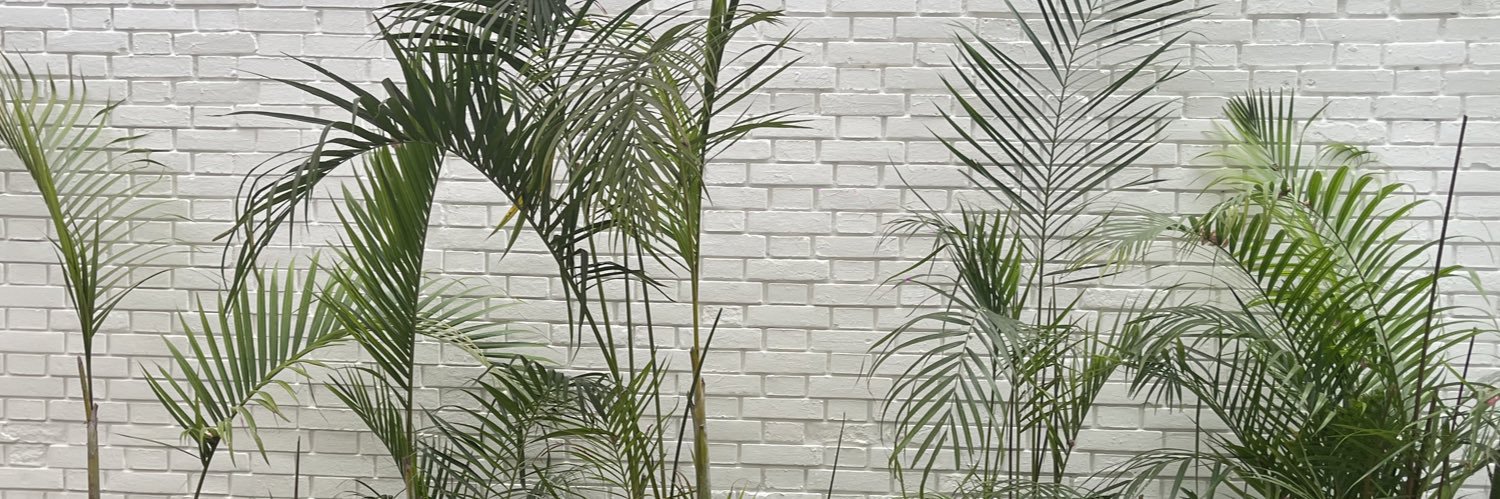andreaisabellas's profile banner image