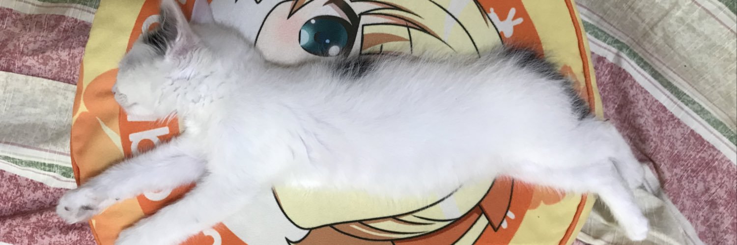 minkychitch's profile banner image