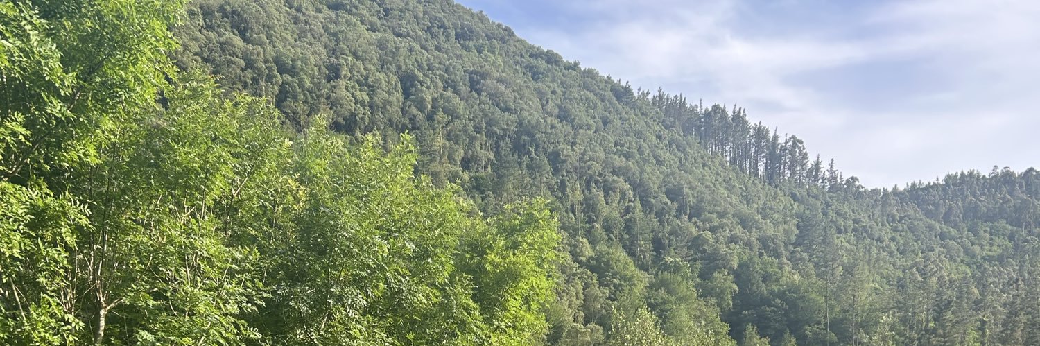 Mendian23's profile banner image