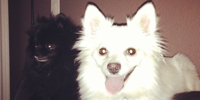 thedylan186's profile banner image